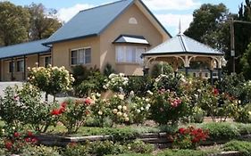 Willows Motel